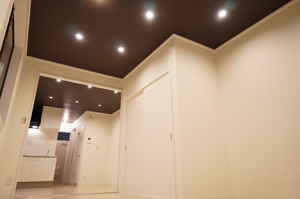 CHIC BROWN ~大地讃頌~画像2