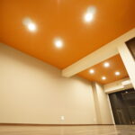 VITAMIN ORANGE ~ビタミンの過剰摂取にご注意を~画像1
