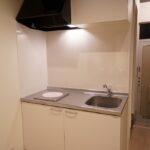 CHIC BROWN ~大地讃頌~画像3