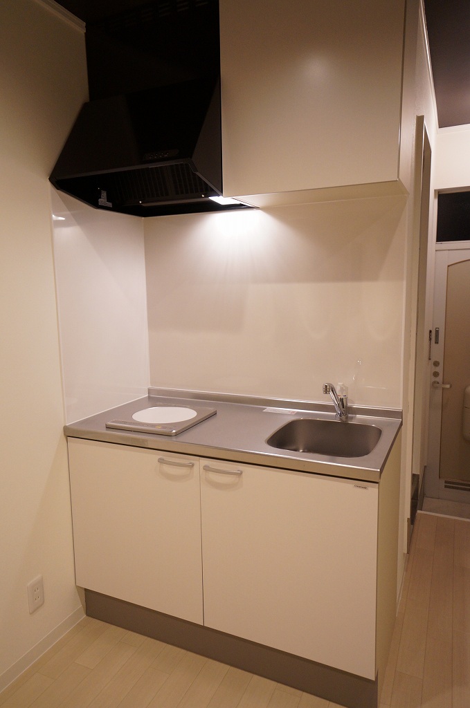 CHIC BROWN ~大地讃頌~画像3